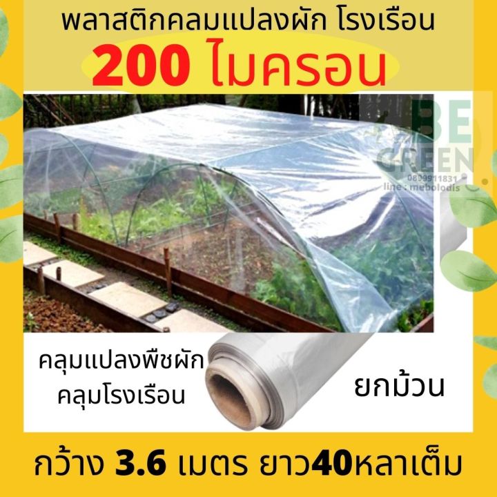 พลาสติกคลุมโรงเรือนใส 200 ไมครอน สำหรับแคคตัสและแปลงผัก