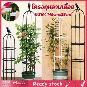 ร้านไทย ซุ้มกุหลาบ ซุ้มไม้เลื้อย เหล็ก ซุ้มไม้เลื้อย pvc  rose arch rose trellis Ivy arch strong steel rust proof wrought iron frame height: 145. Diameter 28cm