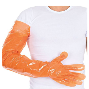 Transparent long veterinary glove with box featuring cow illustrations. Soft material extended wrist coverage disposable for animal handling.