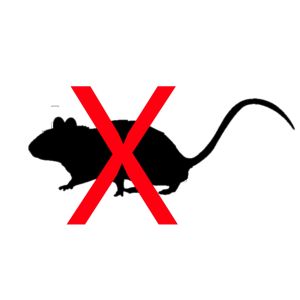 DSC Anti Rat / Pengusir Tikus Kecoa Cicak / Pelindung kap mobil dari tikus /Pengusir tikus di mobil rumah dapur ruko kantor