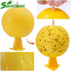 Fruit Fly Traps Sticky Fruit Fly Trap Ball Multifunction Fruit Fly Catcher Citrus Shaped for Indoor Outdoor