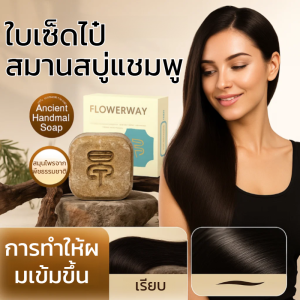 🌿ใบอาร์เทมิเซีย อาร์จี อะเบอร์วิเท โสมโพลีโกนัม มัลติฟลอรัม แชมพู สบู่ สบู่ธรรมชาติ ทำด้วยมือ วิธีโบราณ ทำแบบเย็น โดยไม่ต้องผสมน้ำอาบ草本植萃深层清洁手工皂