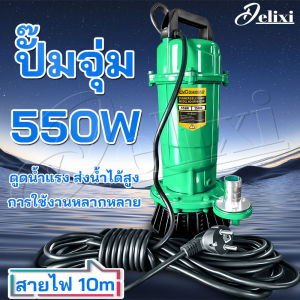 DELIXI ปั๊มแช่ ปั๊มน้ำ ปั๊มจุ่ม 1 นิ้ว ปั๊มแช่ไฟฟ้า ปั้มแช่ดูดโคลน 550W สายไฟ 10 M มอเตอร์ทองแดงแท้ ประสิทธิภาพที่มั่นคง ไหลขนาดใหญ่
