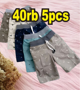 Celana Pendek Anak Laki Laki Usia 2-12 Tahun Chinos Motif