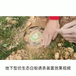 1 Pcs Environment Friendly Termite Killer Trap Box White Ant Termites Bait Station