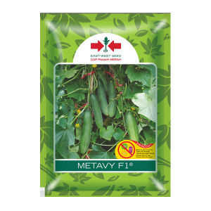 Benih Mentimun New Metavy F1 Isi 175 Butir Cap Panah Merah Bisa COD