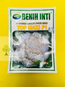 Benih Bunga Kol TOP MAXI F1 dari DINASTY INTI AGROSARANA jos tenan!!!