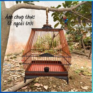 Lồng chim chào mào tự ráp sinh lá đề lồng sinh chào mào tự ráp chất liệu gỗ mun cao cấp có video hướng dẫn lắp ráp