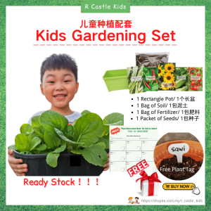 Kids Gardening / Kids Plant Starting Set / Educational Toys Busy Book / Kanak Kanak Mainan Berkebun dan Buku Activiti / 儿童蔬菜种植 安静书