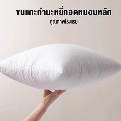 WE HOME หมอน หมอนอิง เมล็ดแฟลกซ์ ผ้าไมโครป้องกันไรฝุ่น สไตล์โมเดิร์น มีซิป ถอดซักได้ หมอนอิงหลั