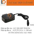 Cục sạc 1 lỗ 2 lỗ type C dành cho đèn pin đội đầu 4v2 500ma và phụ kiện kèm theo. 