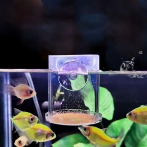 HEALMEYOU Acrylic Aquarium Feeder Tube Transparent Suction Cup Fish Tank Food Dispenser Durable Floating Food Tray Feeder for Baby Fish Shrimp