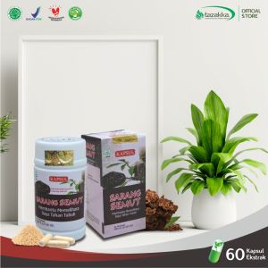 Kapsul Ekstrak Sarang Semut Papua Antioksidan Herbal Kanker