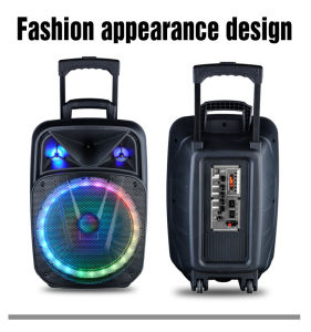 SPEAKER 15 INCH SUBWOOFER LAPANGAN SPEAKER BLUETOOTH BASS KARAOKE PORTABLE EXTRA BASS GRATIS WIRELESS MICROPHONE W1315