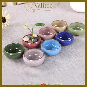 [Valitoo] Cute Ice-Crack Glaze Flower s Succulent Planter Mini Plant Pot Home Decor