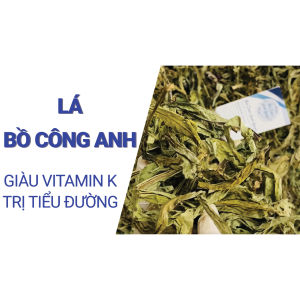 Bồ công anh 100g sấy khô nguyên lá trà bồ công anh thanh nhiệt lợi sữa mát sữa ngừa u xơ
