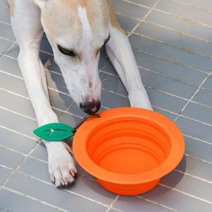 AINACHU 350ML Pet Folding Bowl with Carabiner Silicone Portable Cat Bowl Convenient Foldable Puppy Food Container Outdoor