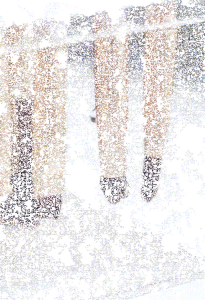 Storage Bucket Dryable and Storable Cosmetic Brush Holder Commuter Non-marking Installation Ventilate