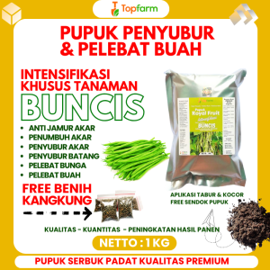Pupuk Buncis / Pupuk Pelebat Buah Buncis / Pelebat Buah Buncis / Obat Pelebat Buah Buncis / Obat Penyubur Buah Buncis / Obat Penyubur Tanaman Buncis