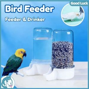 Automatic Birds Feeders Drinking Bottle Hummingbird Pigeon Parrot Hanging Feeder Water Dispenser