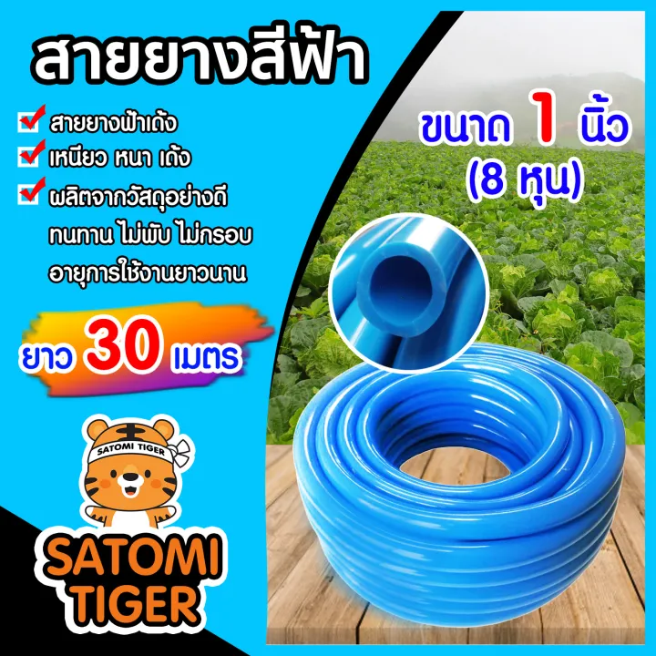 สายยางสีฟ้า 1 นิ้ว 30 เมตร เนื้อยางเด้ง เกรด A