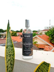 Vlagio Eau De Parfum Royalty Edition 110ml | Parfum Cowok Tahan 24 Jam Wangi | Parfum Pria Tahan Lama | Parfum Vlagio