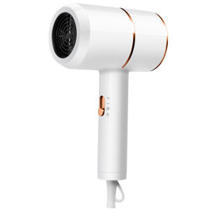 CHONG CHONG 2800W Pet Fast Drying Hair Dryer Blower Low Noise Pet Grooming Supplies For Dog and Cat