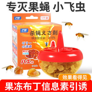 Fly Bait Insecticide Fruit Fly Trap Small Flying Insect Sticky Fly Paper Fruit Fly Household Restaurant Insecticide