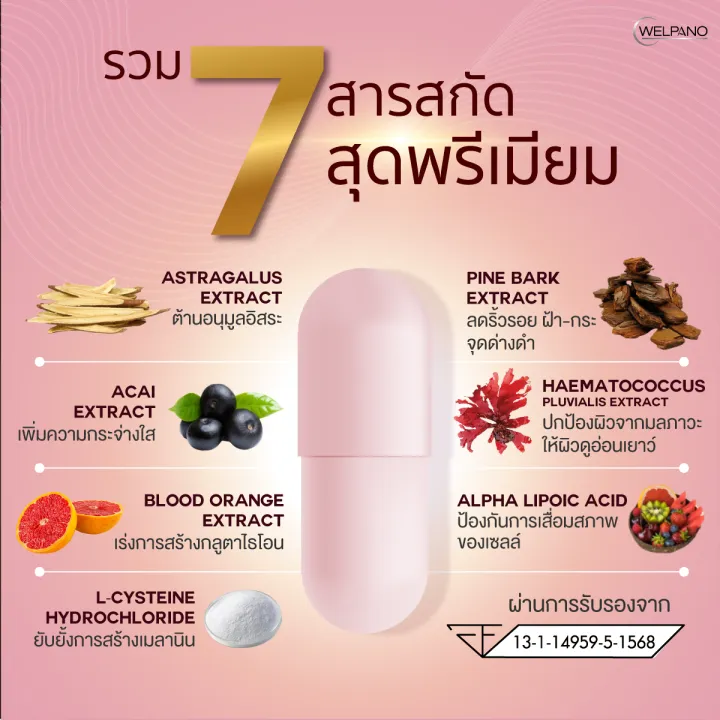 Welpano%20Mela%20Glassy%201%E0%B8%81%E0%B8%A5%E0%B9%88%E0%B8%AD%E0%B8%87%2030cap.%20-%20Image%204