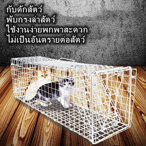 กรงดักแมวCatTrap4You Size XL เหล็กเส้นชุบกาวาไนท์กันสนิม สามารถพับได้ จับแมวจรจัด จับแมว ดักจับแมว ดักจับแมวจร ไล่แมวถาวร ปลอดภัยต่อคนและสัตว์ ใช้งาน จับได้จริง ไล่แมวแบบถาวร แข็งแรง ทนทาน ทนแรงกระชาก กรงแมว กับดักแมว