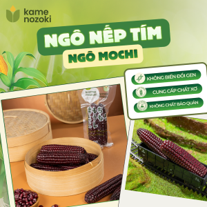 Ngô Mochi Tím túi 500g - Kame Nozoki - Không GMO - Không phụ gia - Không biến đổi gen- Không chất bảo quản