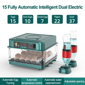 CELOGLO 15 egg fully automatic intelligent digital incubator
