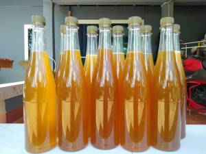 น้ำผึงป่าจากธรรมชาติ 100% สำหรับผู้ที่ชื่นชอบการออกกำลังกายในสถานที่ 1 ขวด - 750 ml ราคาเท่าไหร่ ที่มีคุณภาพยินดีคืนเงินทุกกรณี พร้อมกันแดดพิเศษ