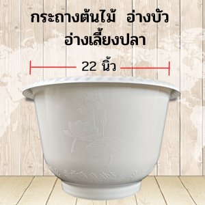 กระถางต้นไม้ไซส์ยักษ์ สีขาว อ่างบัวพลาสติก แบบหนา อ่างเลี้ยงปลา อ่างเลี้ยงบอล อ่างเลี้ยงกล้วย อย่างดี