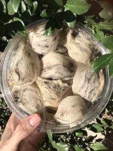 SP8 - [100gr] Tổ yến sào thô loại 1