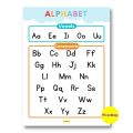 VOWELS CONSONANTS PATINIG KATINIG EDUCATIONAL LAMINATED CHARTS A4 SIZE POSTERS. 