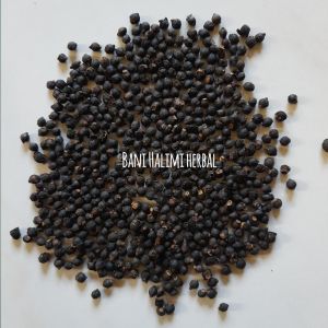 Bibit Benih Angkung Merah 200 Biji