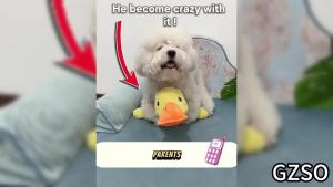 Mellow Dog Calming Duck Toy with Quacking Sound - Dog Stuffed Animal Chew Toy for Any Size (Green)