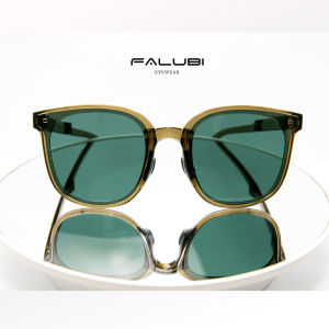 Falubi Folding Sunglasses Transparant Frame Kacamata Lipat Polarized
