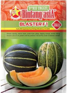 Benih Blewah Blaster F1 15 Gram Cap Bintang asia PT Benih citra asia Toleran Virus Cocok Untuk Di Dataran rendah