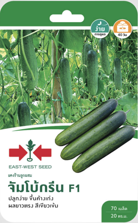 เมล็ดพันธุ์แตงร้าน จัมโบ้กรีน F1 ตราศรแดง ลูกใหญ่ เนื้อหนา