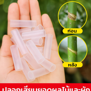 สายรัดข้อต่อ มัลติฟังก์ชั่น อัตราการรอดชีวิตของการเชื่อมต่อ สายรัดต้นกล้า กันน้ำ ง่ายและสะดวก