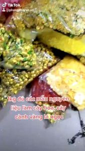 Sỉ bịch 300g 500g 1kg hạt châu đủ màu làm cây hoa cành vàng lá ngọc