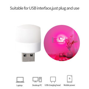 mini usb led light bulb night lights with usb port for room Portable suitable for Mobile Computer Car Charging USB Small Book Lamps LED Eye Protection Reading Light