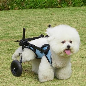 STARRY Breathable Dog Wheelchair Comfortable Hind Leg Support Dog Mobility Scooter Walking Aid Adjustable Rehabilitation Walking Assistant Disabled Dogs Cat