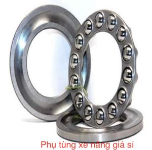 Bạc đạn cổ thuỷ lực xe nâng tay 3000kg 2500kg