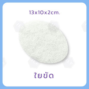 แปรงขัดชักโครก ขัดห้องน้ำ ยาว: 32 ซม. ใยขัดเปลี่ยนใหม่ได้ มีด้ามจับ น้ำหนักเบา ทนทาน