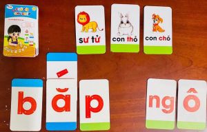 Bộ Thẻ Chữ cái Số và chữ ghép in giấy cứng