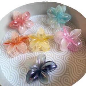 Jepit Rambut Kamboja Bunga transparant gradasi Warna Soft Ukuran 8cm hair clip aksesories rambut