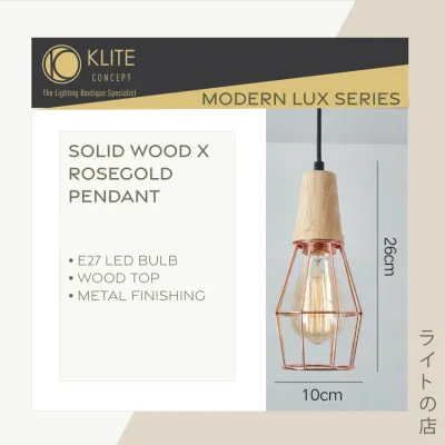 Scandinavian Rosegold & Black Pendant Lamp / Bedside / Dining
